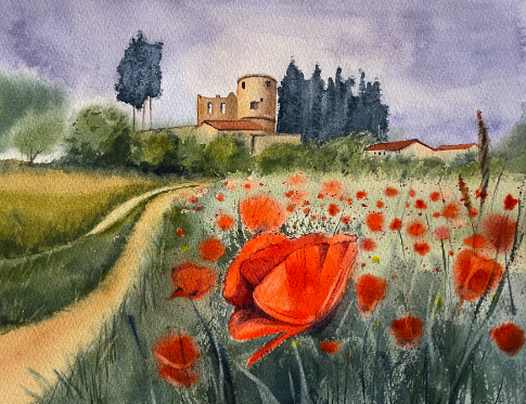 Rote Mohnblumen