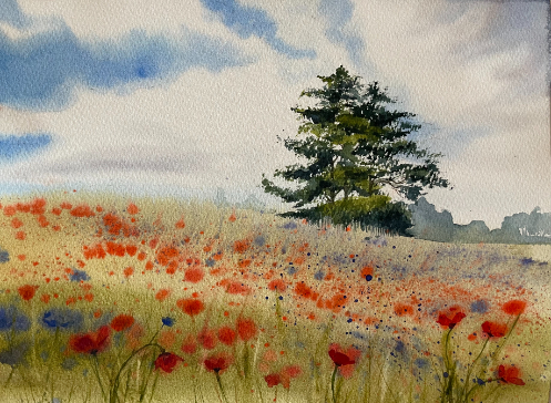 Feld feuriger Mohnblumen