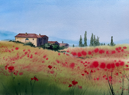 Mohnfeld in Italien