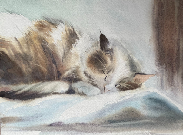 Schlafende Katze