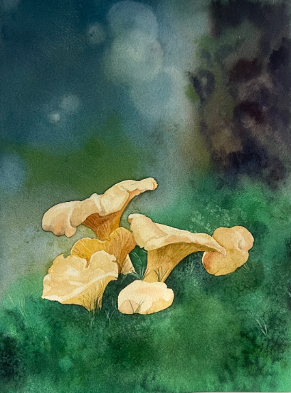 Pfifferlinge im Wald