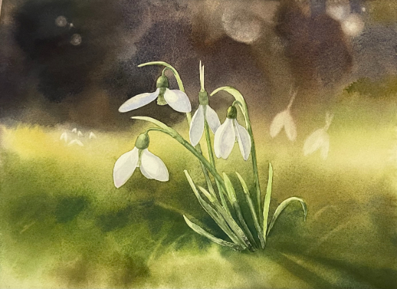 Gartenimpressionen
