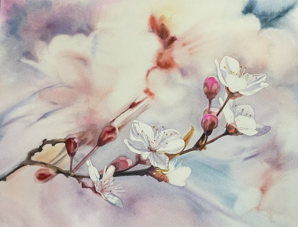 Sakura